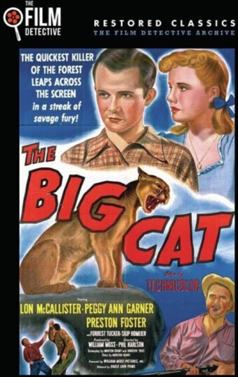Big Cat DVD