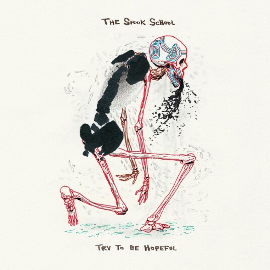 The Spook School  Try To Be Hopeful  LP/Vinyl