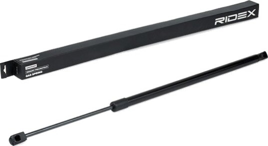 RIDEX 219G0970 Baklukedemper