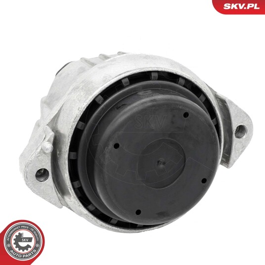 ESEN SKV 75SKV290 Motorfeste ESEN SKV 75SKV290 Motorfeste