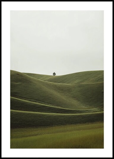 Foggy Green Hill Plakat Plakat / 40x50cm Foggy Green Hill Plakat Plakat / 40x50cm