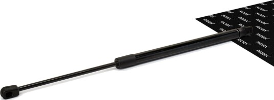 RIDEX 219G0107 Baklukedemper