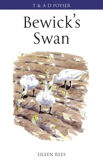 The Bewick"s Swan The Bewick"s Swan
