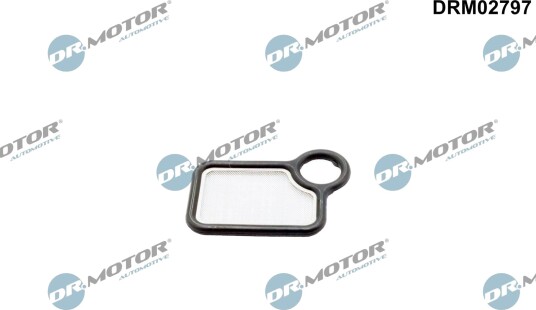 DR.MOTOR AUTOMOTIVE DRM02797 Pakning, kamakselregulering