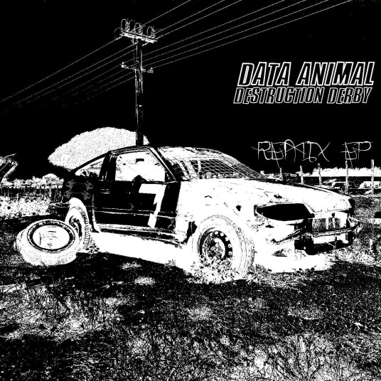 DATA ANIMAL  Destruction Derby  Kassett