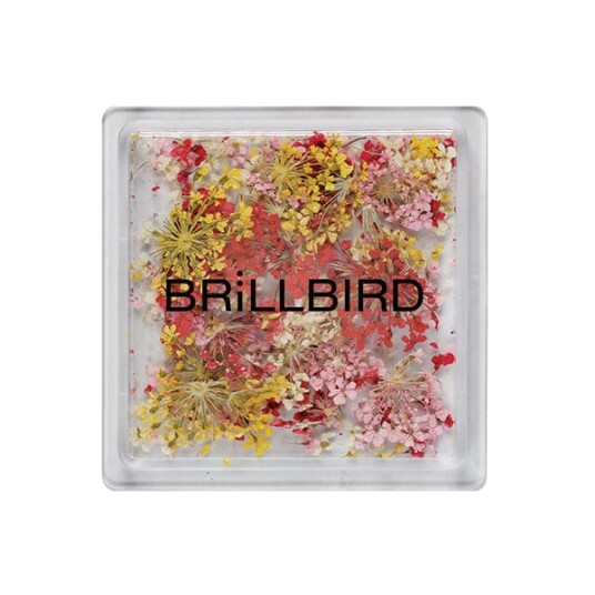 Brillbird Norge TØRKEDE BLOMSTER Mix Sunrise