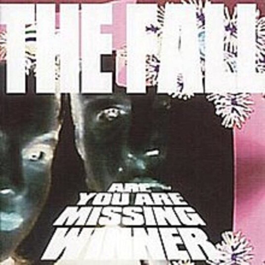 The Fall Are You Are Missing Winner CD The Fall Are You Are Missing Winner CD