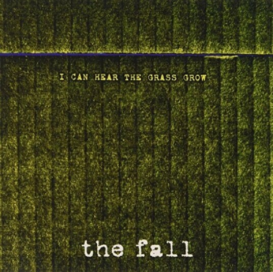 The Fall  I Can Hear The Grass Grow  CD