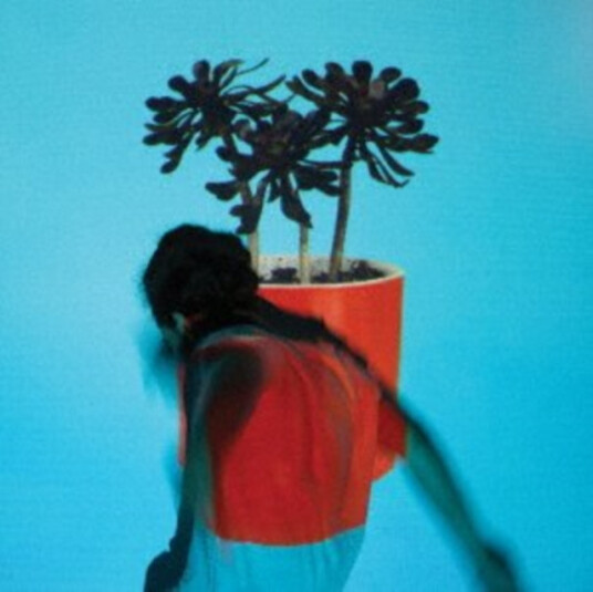 Local Natives Sunlit Youth CD Local Natives Sunlit Youth CD