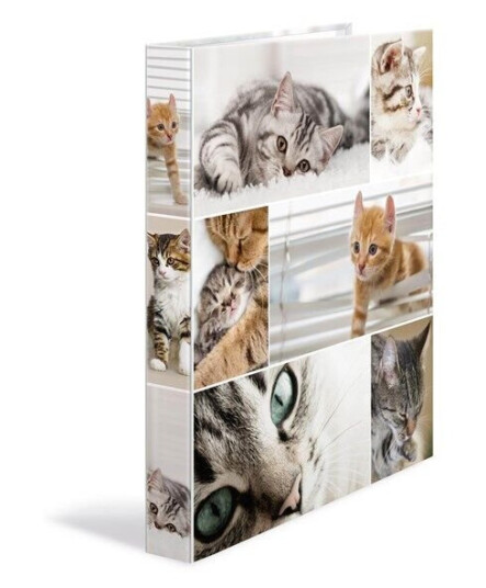 HERMA Ring binder A4 cardboard 4D cats