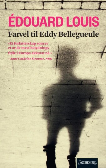 Farvel Til Eddy Bellegueule Av Édouard Louis