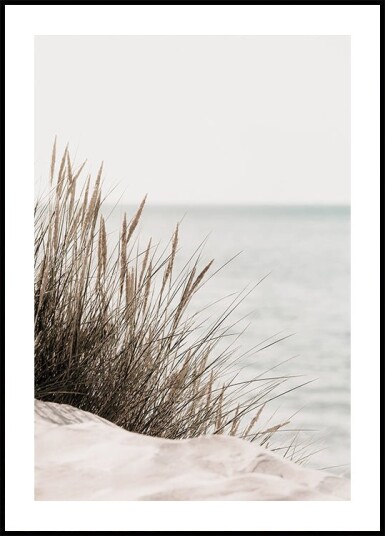 Grass by the Sea Plakat Plakat / 21x30cm