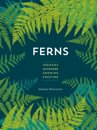 Ferns   Indoors   Outdoors   Growing   Crafting