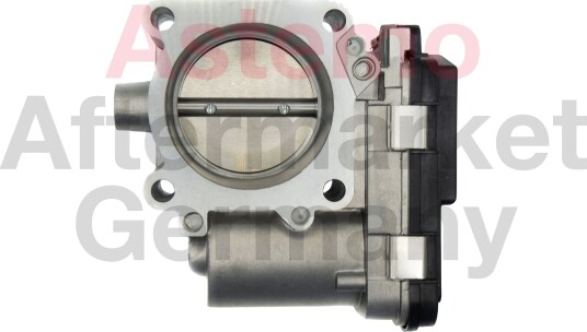 Gasspjeld HITACHI 2509028 Gasspjeld HITACHI 2509028
