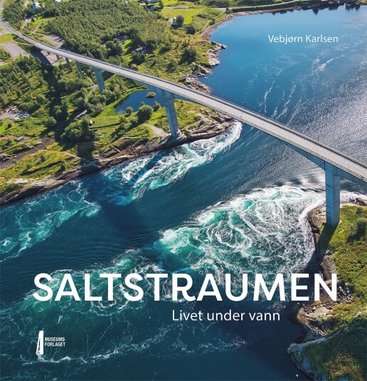 Saltstraumen Saltstraumen