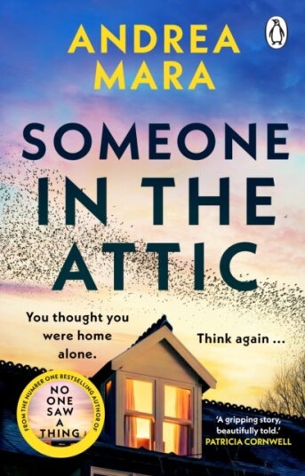 Someone in the Attic Someone in the Attic