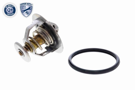 Termostat ACKOJA A70 99 0003