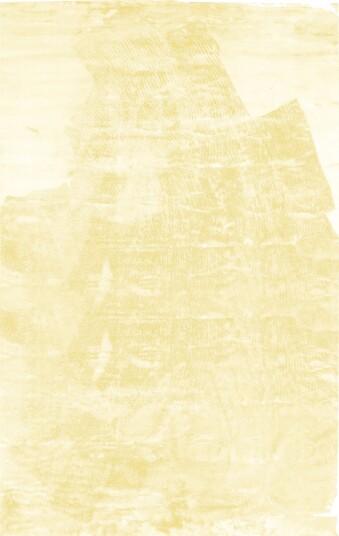 Ryetepper Aranga Super Soft Fur lysegul Størrelse: 160 x 230 cm