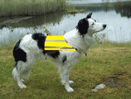 Breeders refleks dekken S