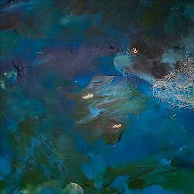 MediaTronixs Oliver Earnest : The Water Goes the Other Way CD (2021) Pre-Owned