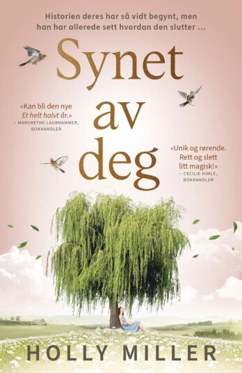 Synet av deg av Holly Miller - Pocketbok fra Bastion Forlag