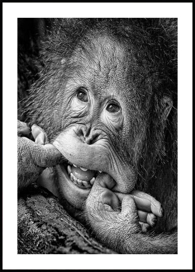 Big Smile.....please Plakat Plakat / 30x40cm