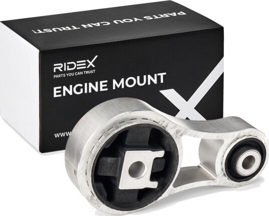 RIDEX 247E0202 Motorfeste