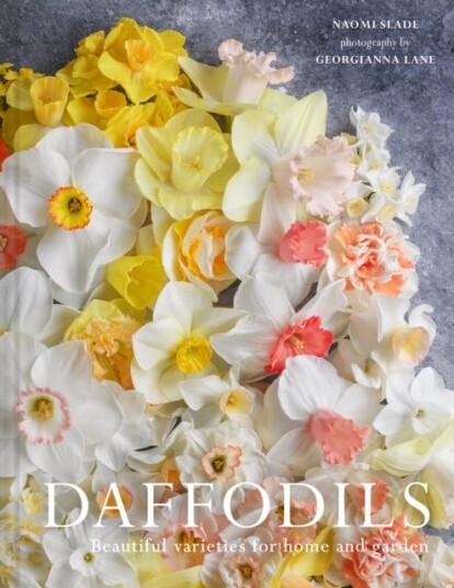 Daffodils  Beautiful Varieties for Home and Garden