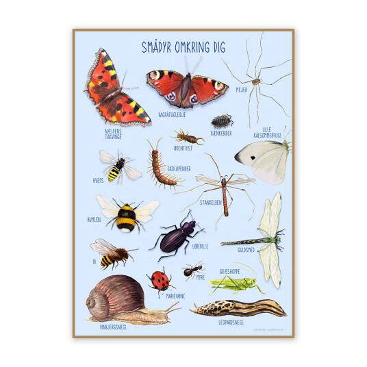 Plakat 50 x 70 cm - Smådyrene rundt deg Dansk Plakat 50 x 70 cm - Smådyrene rundt deg Dansk