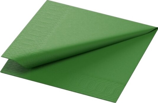 Duni 186354 Grønn Tørkepapir 240 Mm 240 Mm Tyskland 576 Mm Duni 186354 Grønn Tørkepapir 240 Mm 240 Mm Tyskland 576 Mm