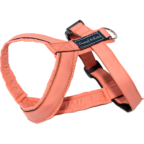 Harness Pro Peach nr. 1/2
