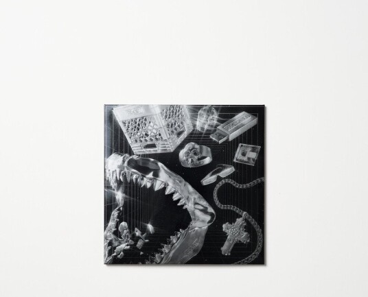 Lex Xx Vinyl