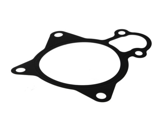 LEMA 24018.05 Pakning vannpumpe