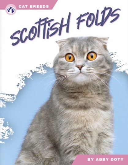 Cat Breeds: Scottish Folds Cat Breeds: Scottish Folds
