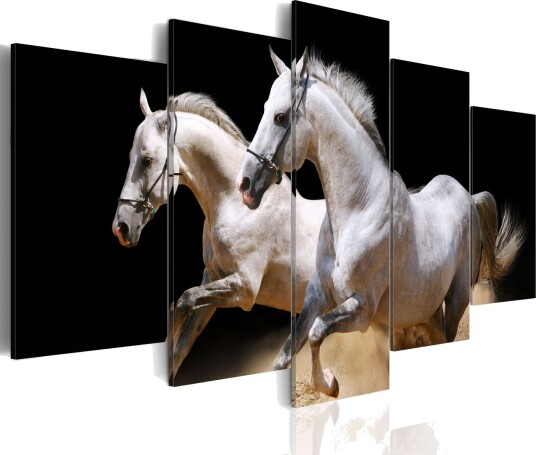 Bilde GallopFreedom And Power 100x50 Artgeist sp. z o. o.