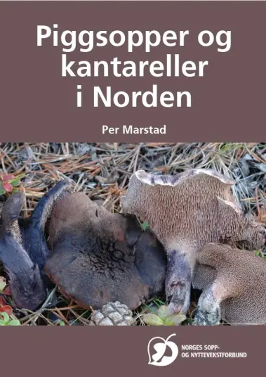 Piggsopper og kantareller i Norden Piggsopper og kantareller i Norden