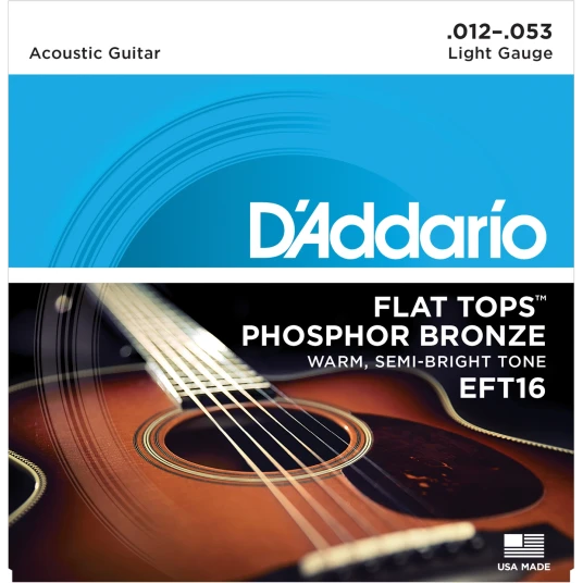 Daddario EFT16