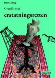 Oversikt over erstatningsretten Oversikt over erstatningsretten