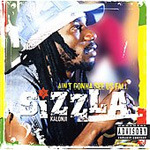 Sizzla Ain't Gonna See Us Fall CD