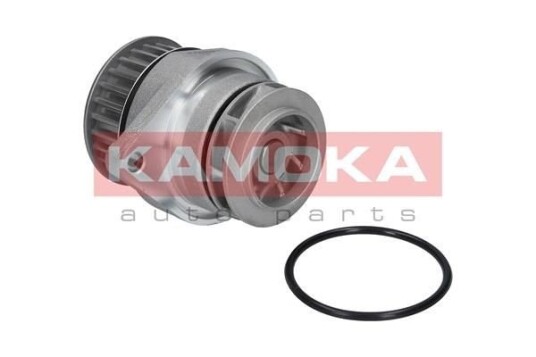 Vannpumpe KAMOKA T0026