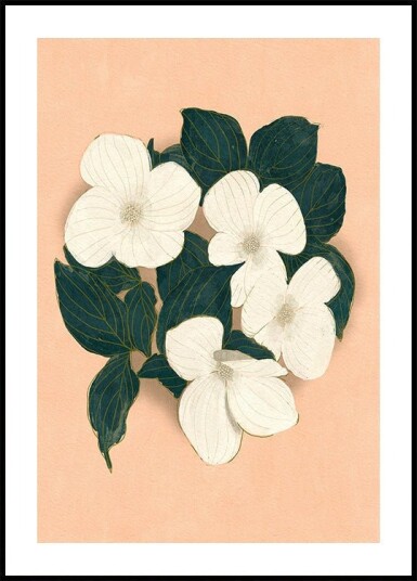 Dogwoods on Pink Plakat Plakat / 100x150cm