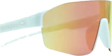 Solbriller Red Bull Spect Dundee (Pink)
