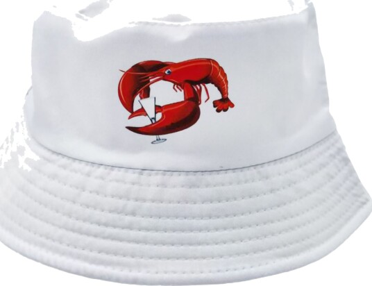 Dynäs Import Solhatt Kreps med Snaps 71095