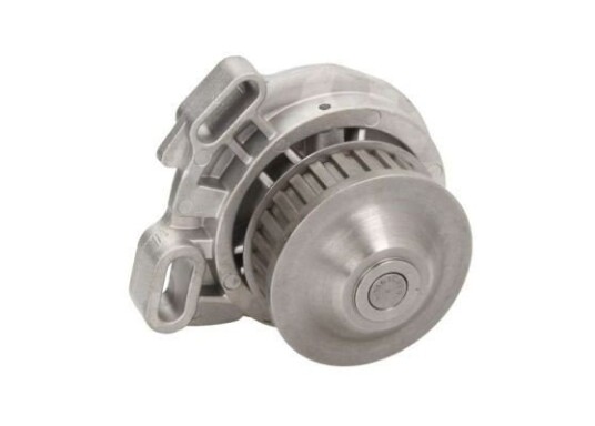 THERMOTEC D1W005TT Vannpumpe