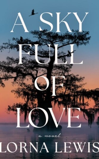 A Sky Full of Love A Novel A Sky Full of Love A Novel