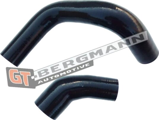 GT BERGMANN GT52 147 Ladeluftslange