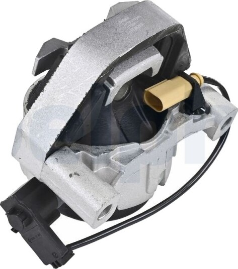 DELPHI TEM289 Motorfeste