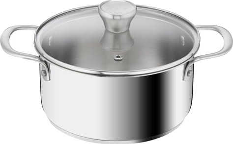 Tefal Recycle Stewpot 20 Cm W. Lid Stainless Steel Gryte