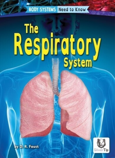 Respiratory System Respiratory System
