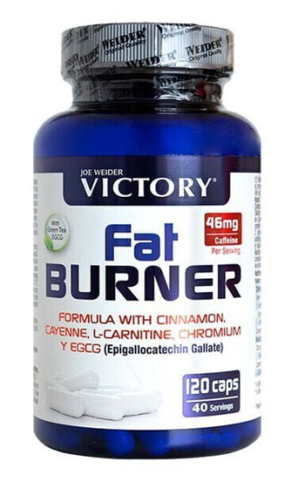 Fat Burner, 120 kapsler Fat Burner, 120 kapsler